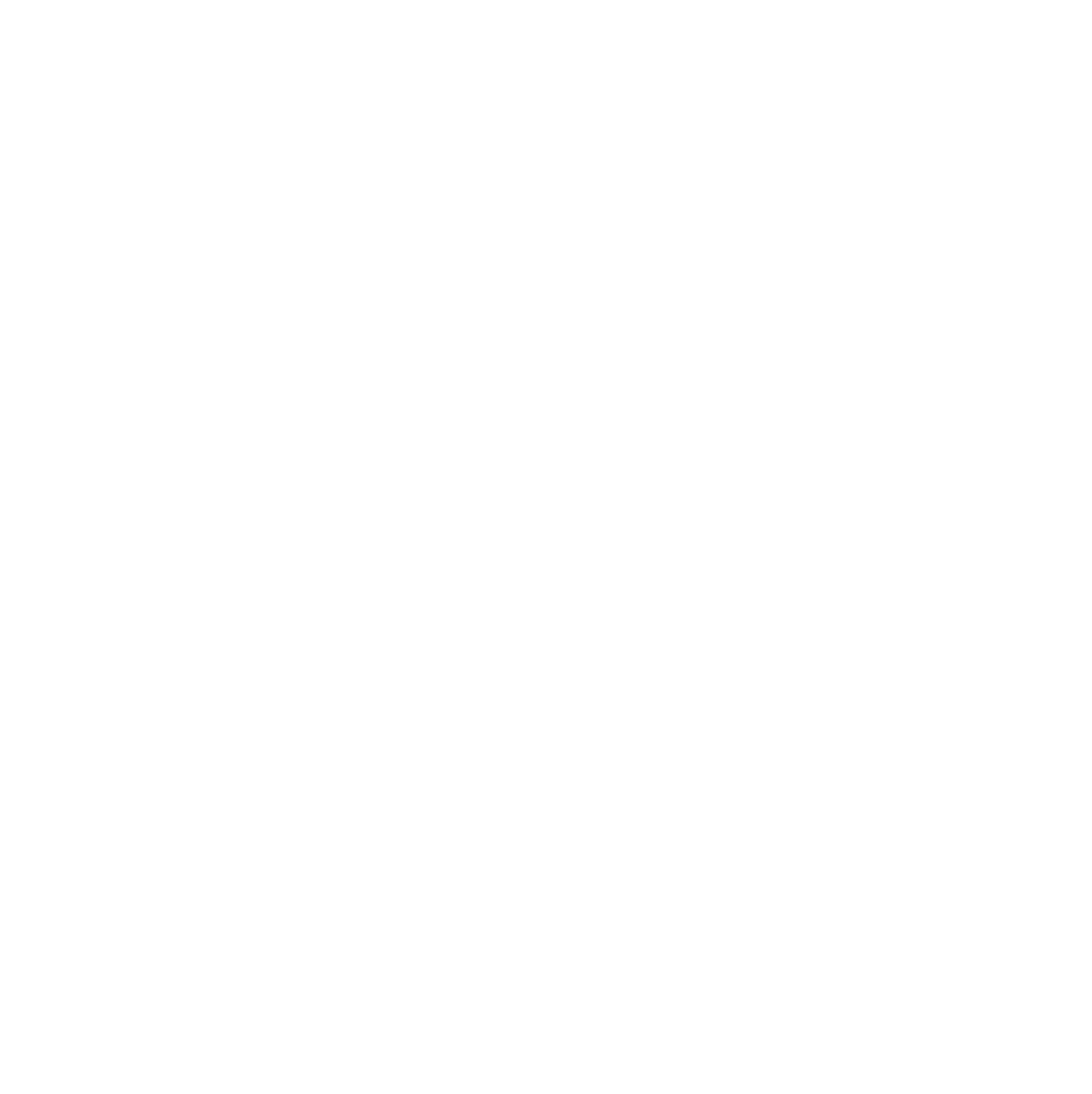 The Last Defender